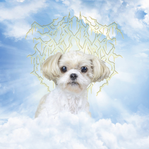 30,000 Monkies : Honesty Integrity Friendship Passion